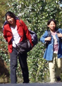 成年人在线观看网站